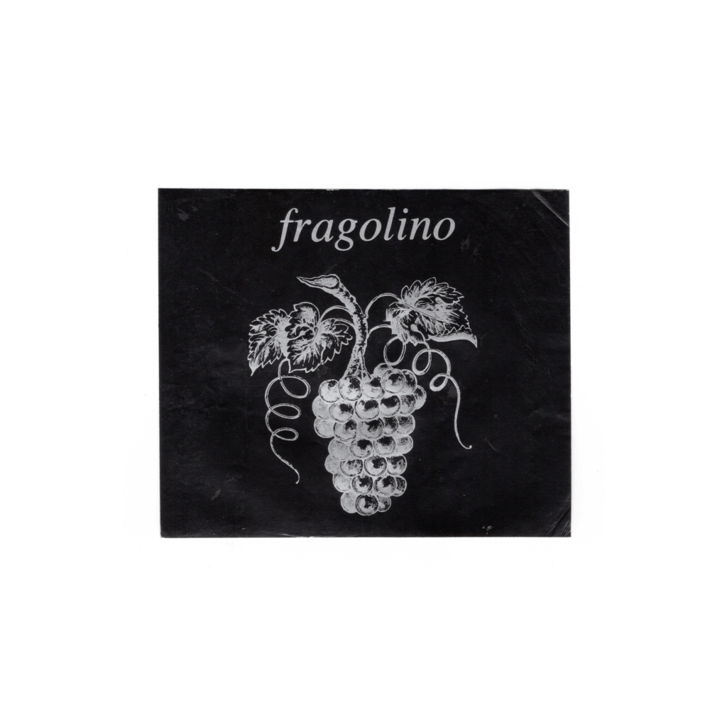 Il vino rosato Fragolino, prodotto a N/A, in Italia, presenta un'etichetta rettangolare realizzata in carta patinata opaca e stampata con tecnologia offset.
