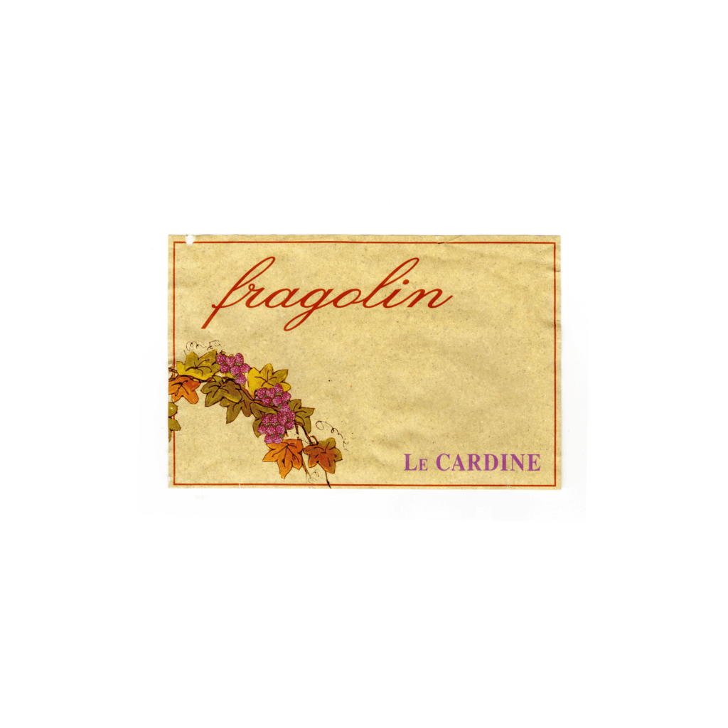 Il vino rosato Fragolin, prodotto a N/A, in N/A, presenta un'etichetta rettangolare realizzata in carta usomano e stampata con tecnologia offset.